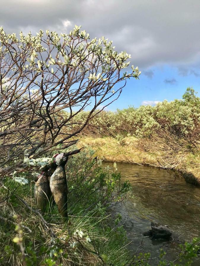 Appartamento Oppdal Alpintun Esterno foto